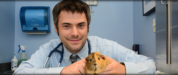 exotic animal vet