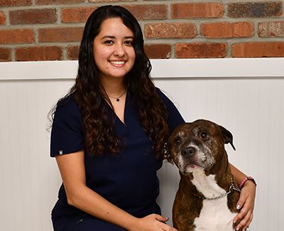 Meet Allie, Veterinary Technician
