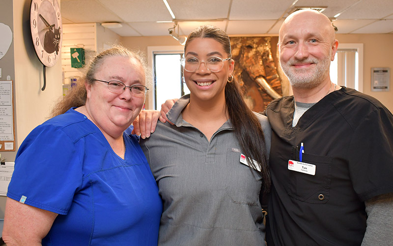 frequently-asked-questions