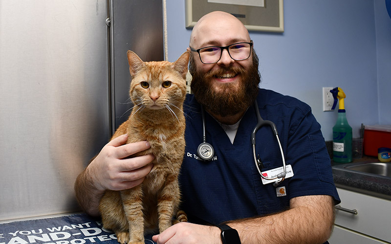 General Pet Medicine at Norwalk Animal Hospital in Norwalk, CT