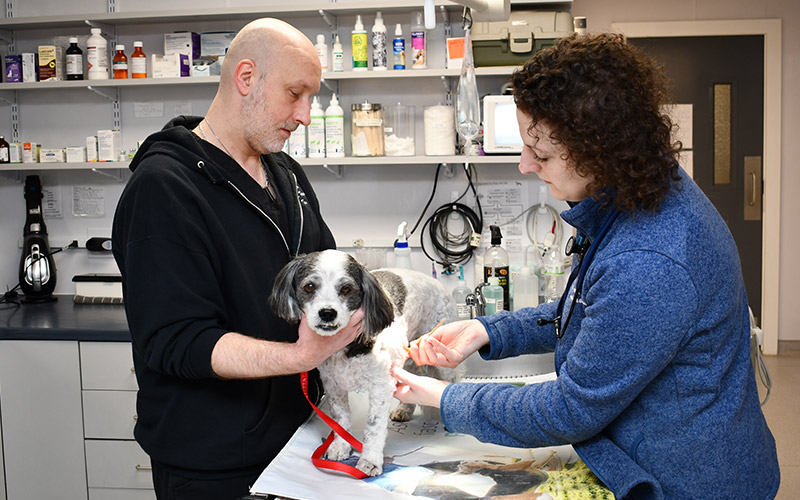 Preventative Pet Medicine at Norwalk Animal Hospital in Norwalk, CT