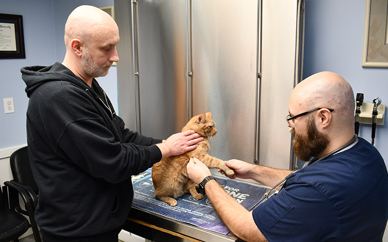 Senior Pet Care at Norwalk Animal Hospital in Norwalk, CT