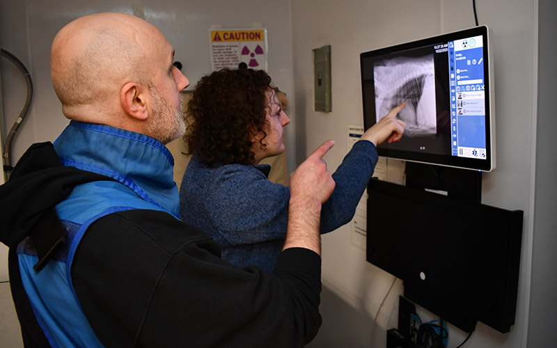 Veterinary Diagnostic Services at Norwalk Animal Hospital in Norwalk, CT