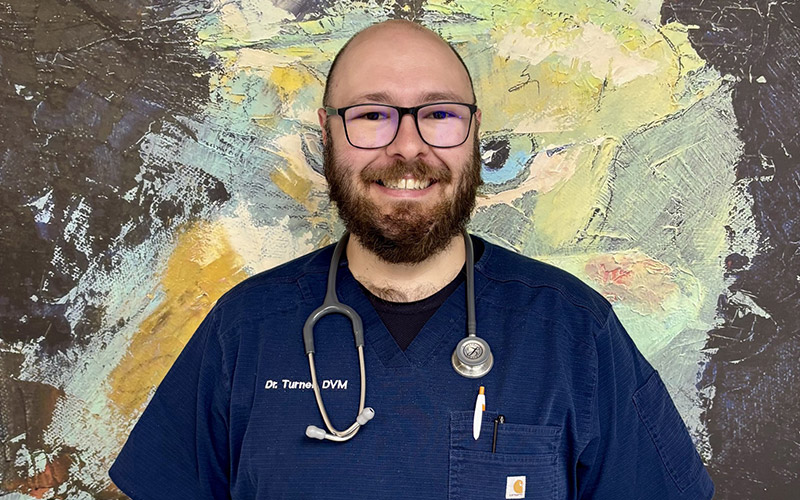 Digital Client Center at Norwalk Animal Hospital