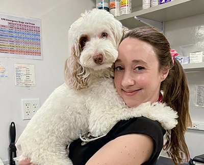 Meet Dr. Katy Siegel at Norwalk Animal Hospital in Norwalk, CT